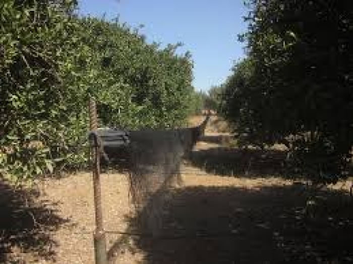 �������������岶ɱȸ��