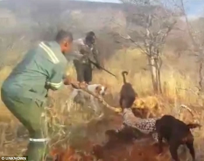 �������ױ������˲�ɱ���ޱ�ӰƬ�ع� �Թ�Χ����ҧ