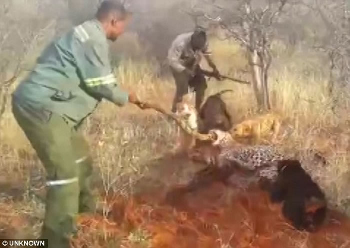 �������ױ������˲�ɱ���ޱ�ӰƬ�ع� �Թ�Χ����ҧ