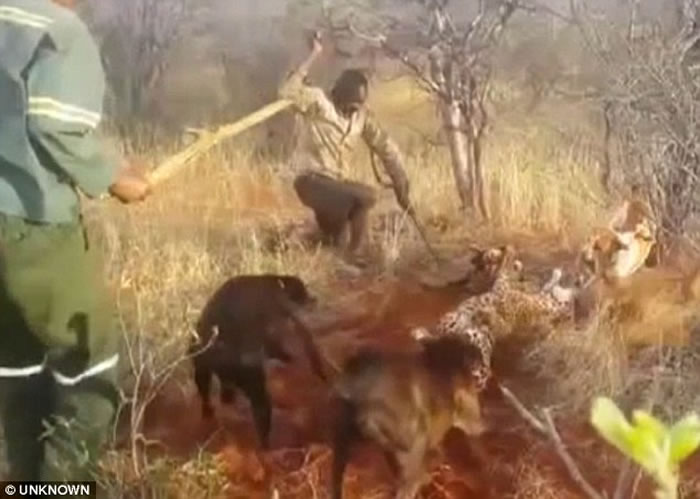 �������ױ������˲�ɱ���ޱ�ӰƬ�ع� �Թ�Χ����ҧ