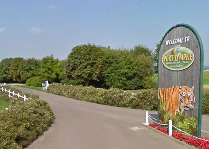 园方事后加强措施,防止猎豹再次走失。