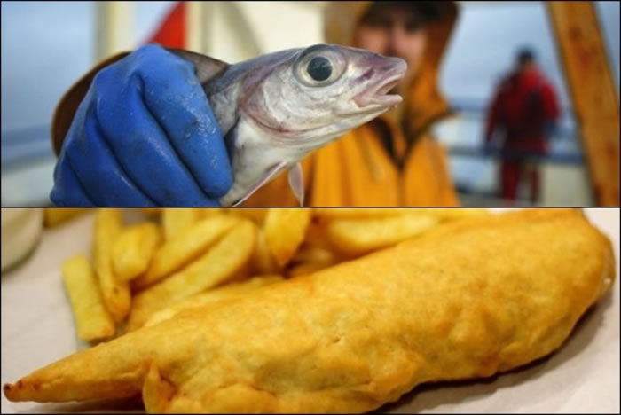 �������㣨�ϣ�����������Ժ�û��ը�������ԣ�