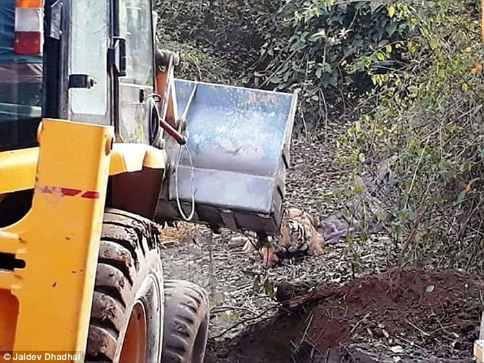 ӡ�ȱ������ϻ�ҧ������Χ�� ������������ʱȴ������ѹ��