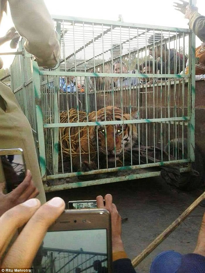 ӡ�ȱ������ϻ�ҧ������Χ�� ������������ʱȴ������ѹ��