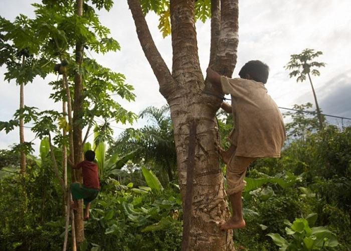 专家指长期保持活跃,有助防止心脏血管硬化。