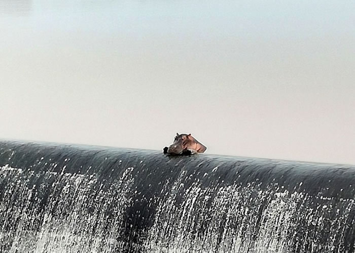 ��ӱ�ɸú�����˽�˴�ԡ����