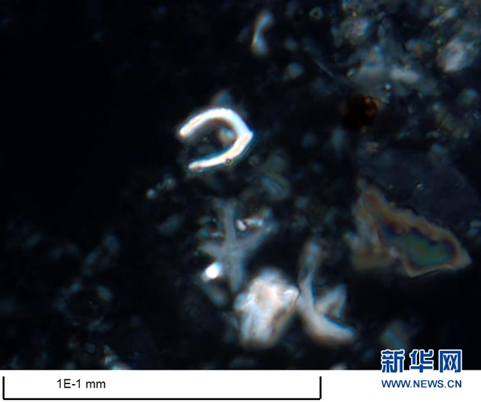 Ž֪٣׺ɣＸǨڷŴ1000౶΢£ġϵĿѧҶ˴ϺȡоС΢硱ԡ»緢 㣩