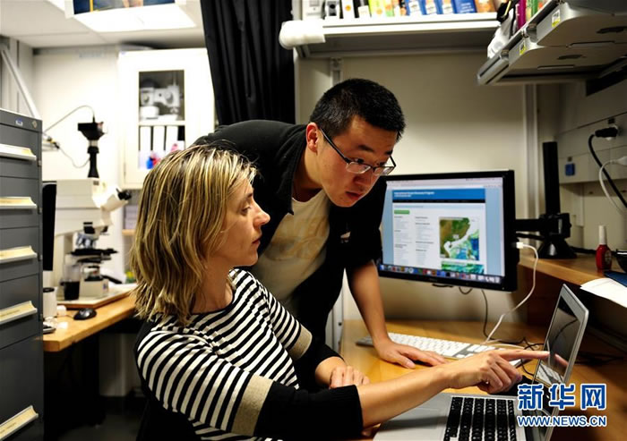 Ž֪٣׺ɣＸǨڷŴ1000౶΢£ġϵĿѧҶ˴ϺȡоС΢硱ԡ»緢 㣩