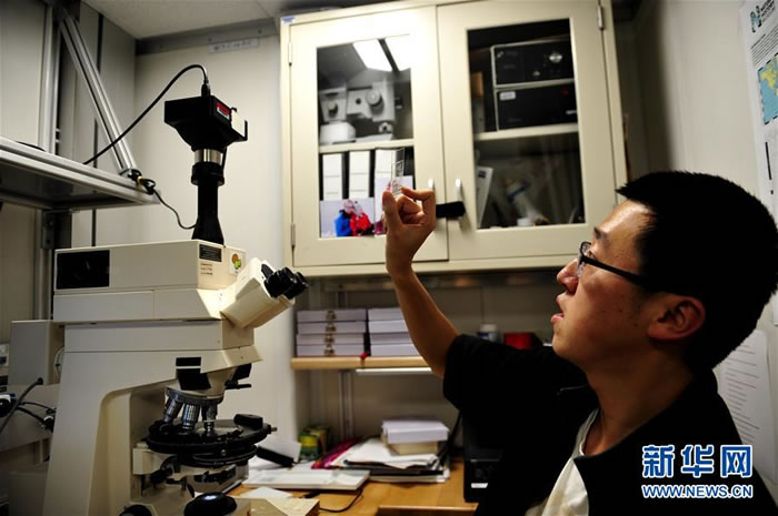 Ž֪٣׺ɣＸǨڷŴ1000౶΢£ġϵĿѧҶ˴ϺȡоС΢硱ԡ»緢 㣩