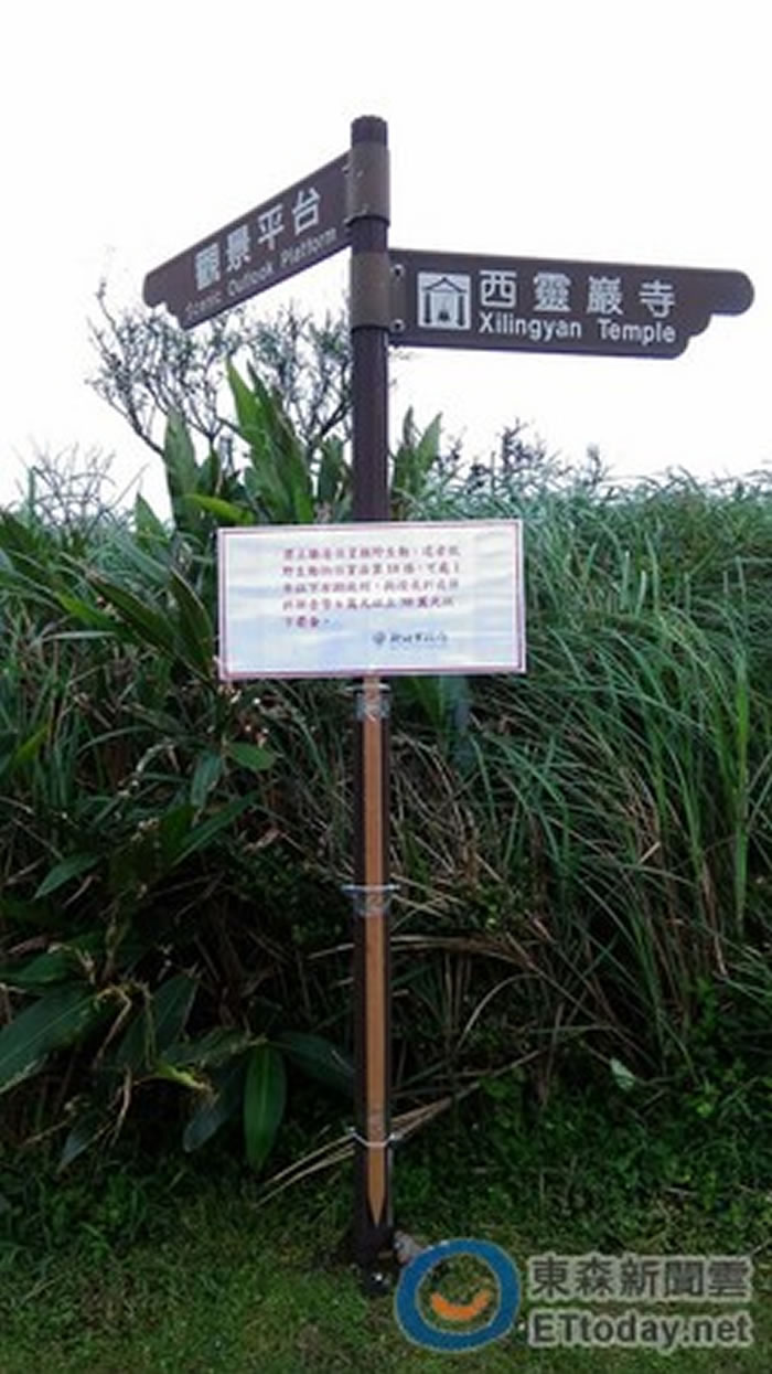 市府设告示牌,提醒民众不要惊扰游隼。(图/新北市动保处提供)