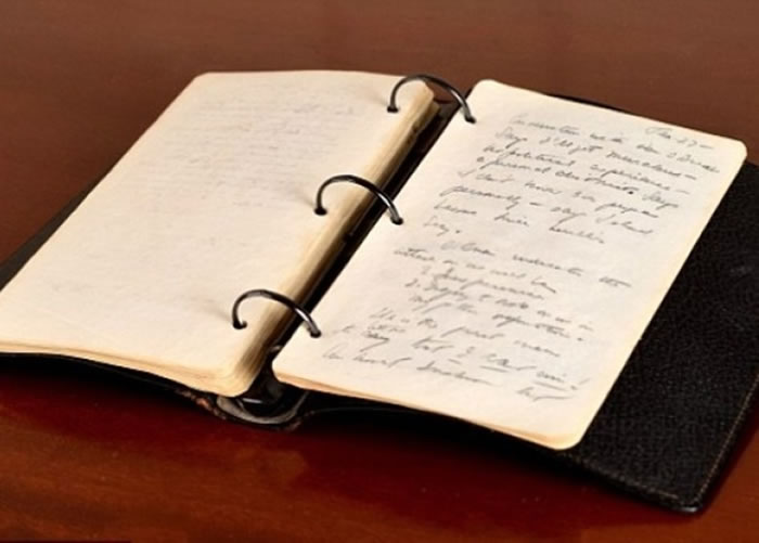 ����ϵ��ռǼ���������