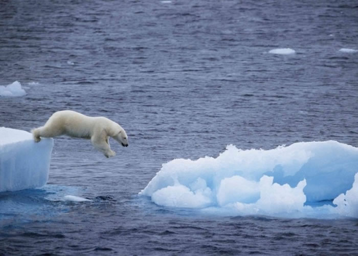 ����仯����̬������ɾ޴�Ӱ�졣