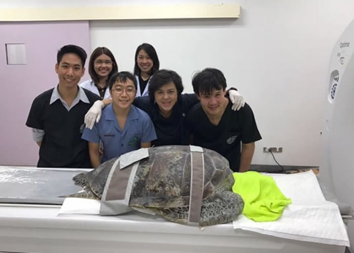 ����¡����ѧ����ҽ��ǰΪ������������