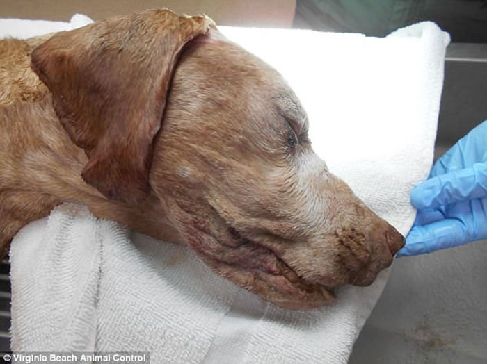 ����ά���������ӽ��ز�������15���Ϲ�����ɳֱ̲��ǹɱ