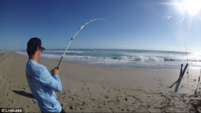 外国渔夫钓鱼新玩法:无人机出动钓到鲨鱼