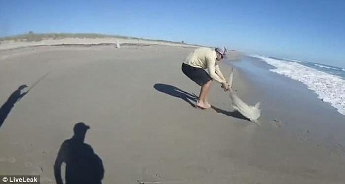 外国渔夫钓鱼新玩法:无人机出动钓到鲨鱼