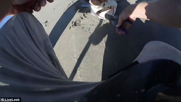 外国渔夫钓鱼新玩法:无人机出动钓到鲨鱼