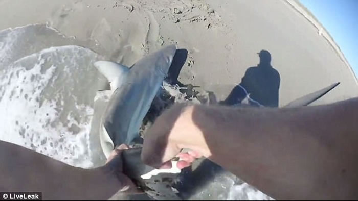 外国渔夫钓鱼新玩法:无人机出动钓到鲨鱼