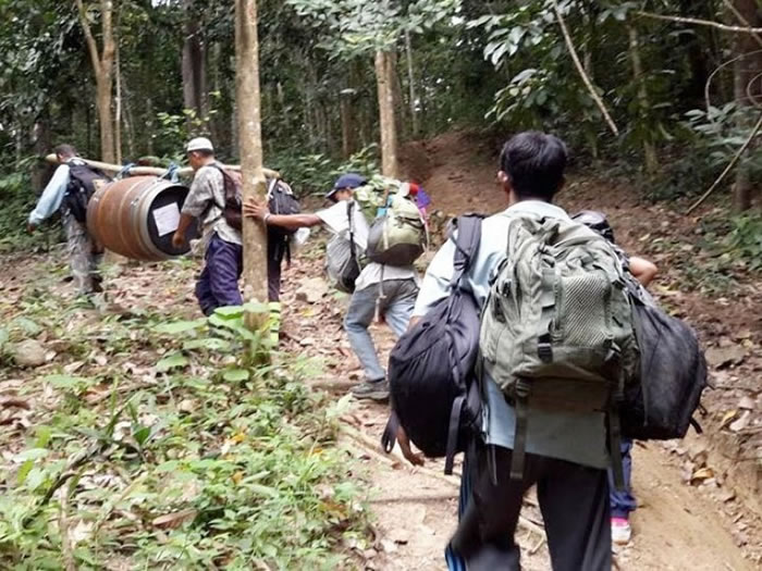 木桶成功吸引野生犀鸟入住人工鸟巢孵化幼鸟。