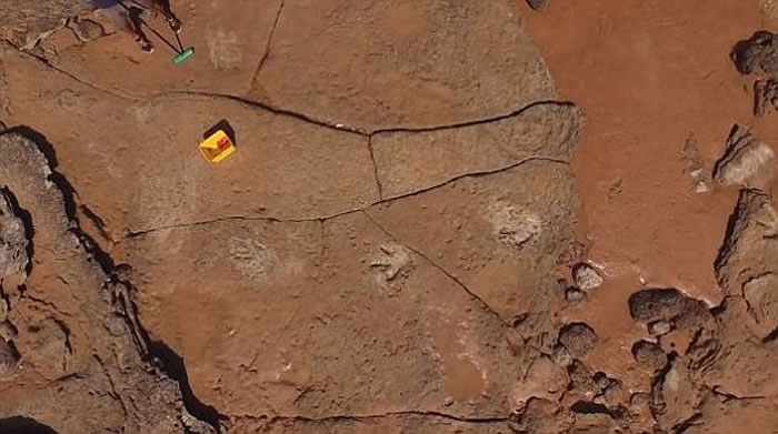 澳大利亚发现最大恐龙脚印化石 1.4亿年岩石中发掘出多达21种前所未见的恐龙遗迹