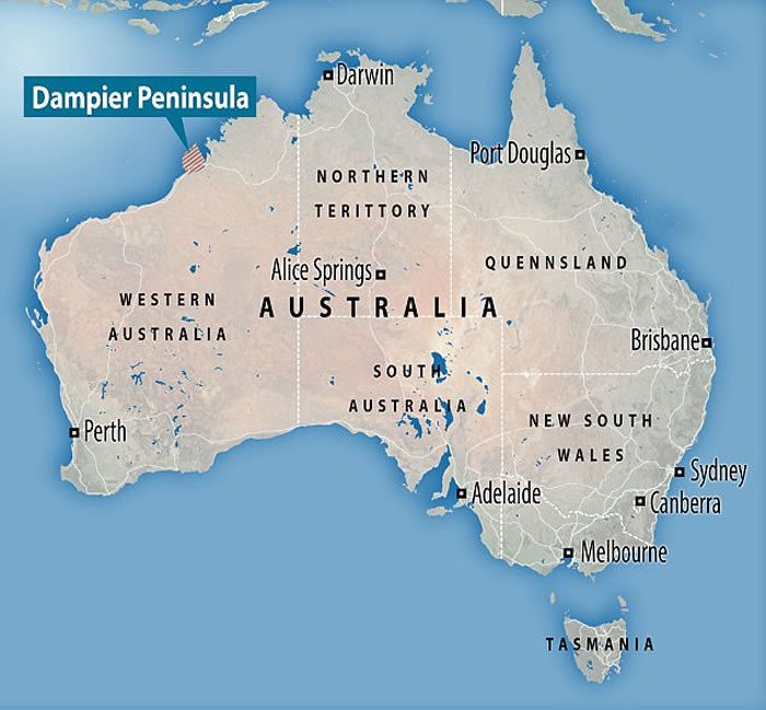 澳大利亚发现最大恐龙脚印化石 1.4亿年岩石中发掘出多达21种前所未见的恐龙遗迹