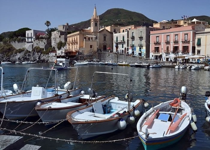 西西里岛渔民指海豚令他们收入锐减。