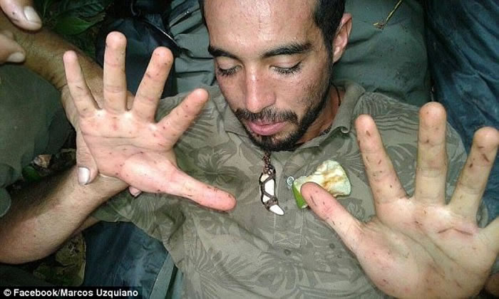 玻利维亚亚马逊雨林游客离奇失踪九天:是猴子救了我!