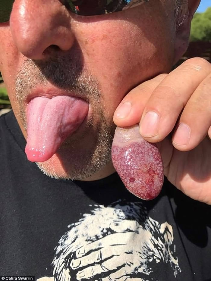 ���������ͷ����������ȶԣ�ȷ�����ơ�