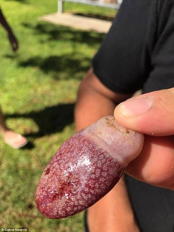 ����ѧ�ҹ����������Ǻ��ʻ��Ǻ���֮��ĺ������