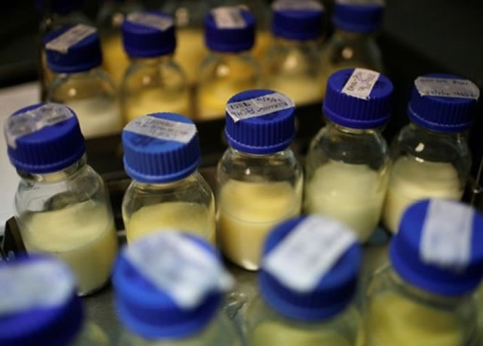 ����կ����������ֹ����������ĸ�顣