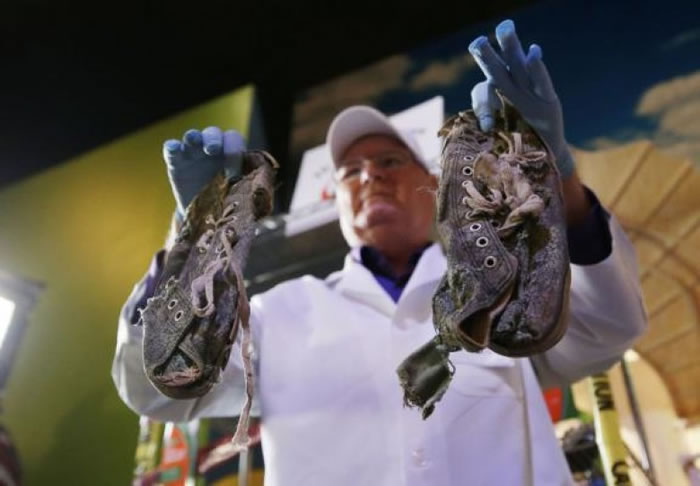 ר��С�Ĵ���������Ь��