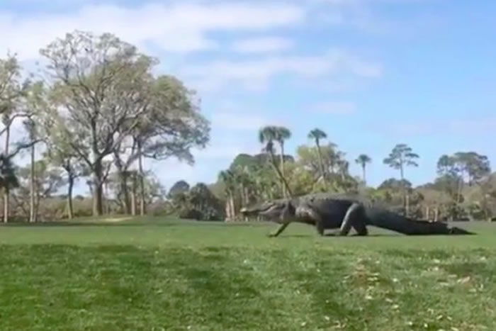 �����Ͽ��������ݴ��������ľ������߶��������� ���ּ��ϳ�����