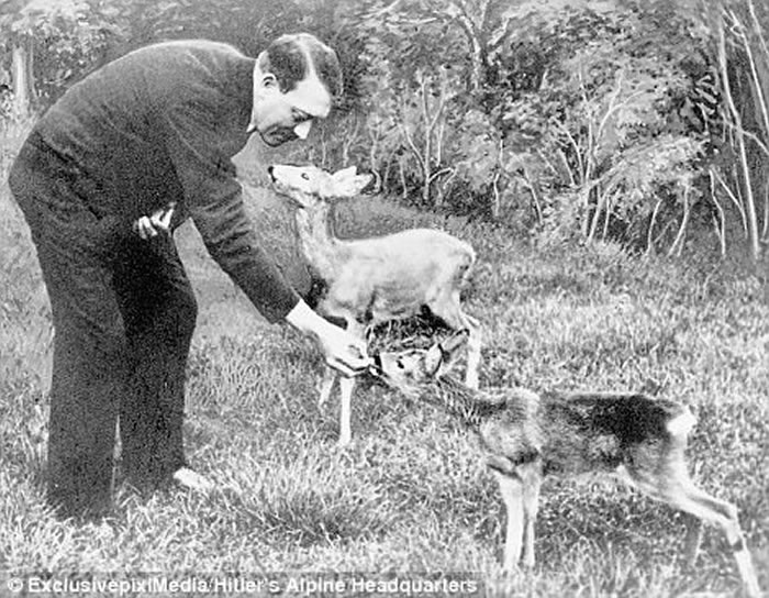 йذƽ׽˵Ƭ߸ϣնħ