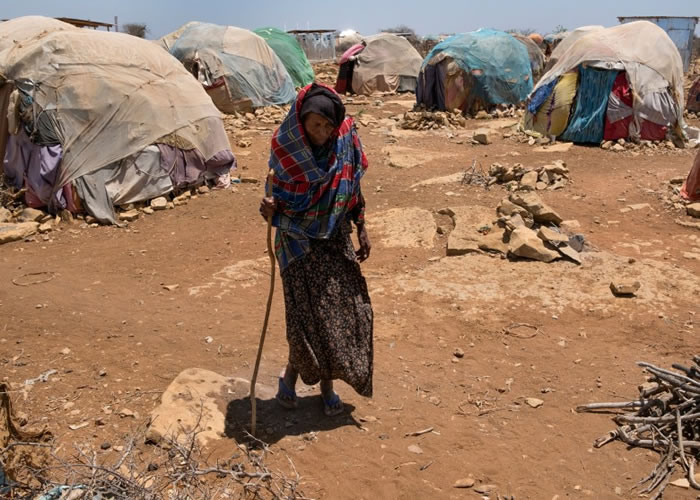 ���޶�������������Լ��ġ�