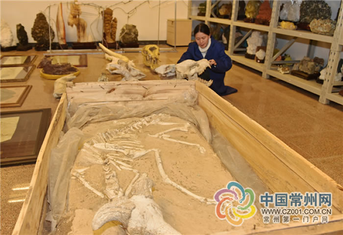 ��ٻƼ��ʿ��С����Ȼ��Ũ�����Ȥ�Ӷ�ʹ�����������˹������о�������·