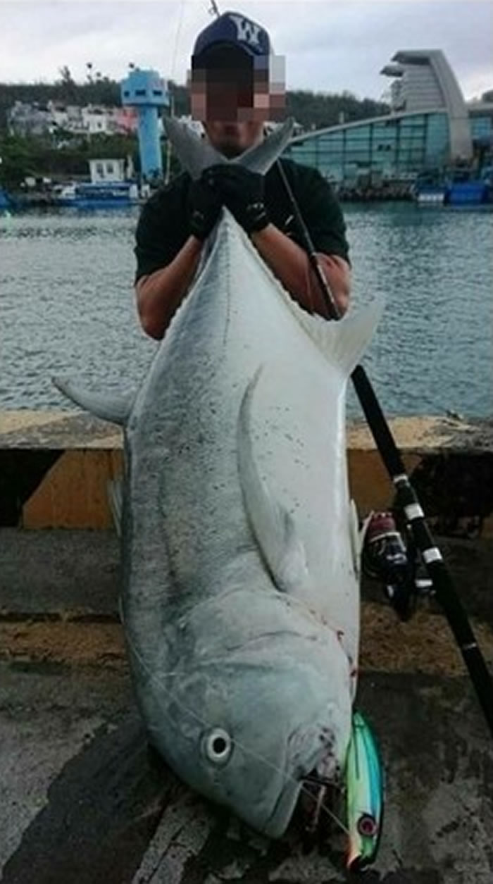 ��ں�����34kg��ţ���������׽��ˣ���ǰ�������������顣��ͼ�������Ժ㴺�뵺���������������ţ�