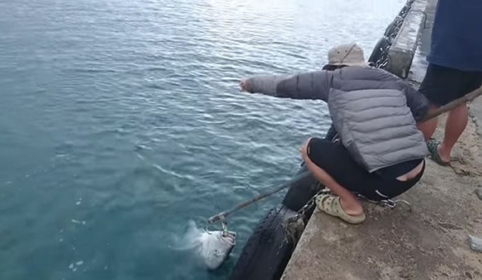 ��ں����ǡ�ţ�����������������Υ������������POӰƬ����ͼ��������YEN CHEN Shih youtube��