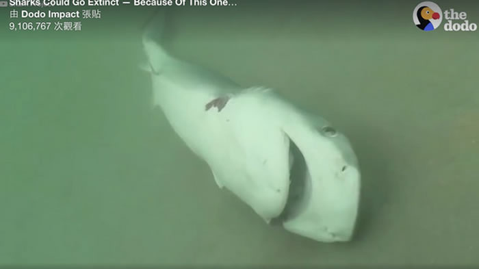 㣬ӻغ֮ʹ෭ֱȥ