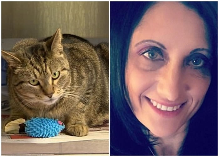 猫咪与赫梅行切克(右图)团聚。