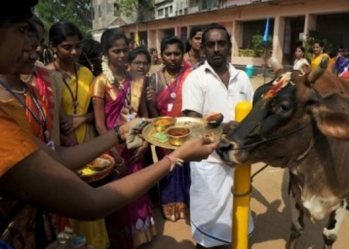 ����ţֻ�ᱻ�����������