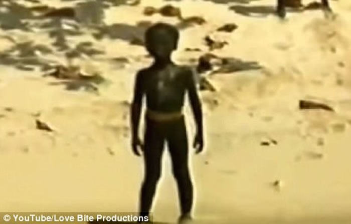 ���Ƭ��������ӡ����ɭ��ά����ԭʼ���䡰���˾�ɱ����ɭ���ɶ���