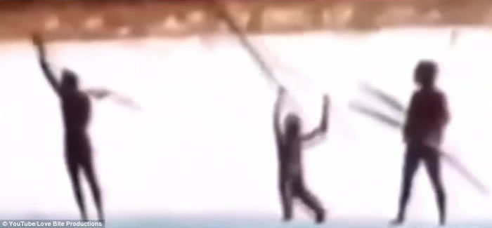 ���Ƭ��������ӡ����ɭ��ά����ԭʼ���䡰���˾�ɱ����ɭ���ɶ���