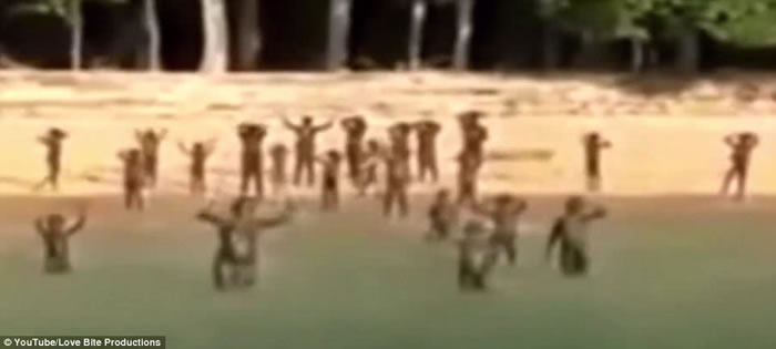 ���Ƭ��������ӡ����ɭ��ά����ԭʼ���䡰���˾�ɱ����ɭ���ɶ���