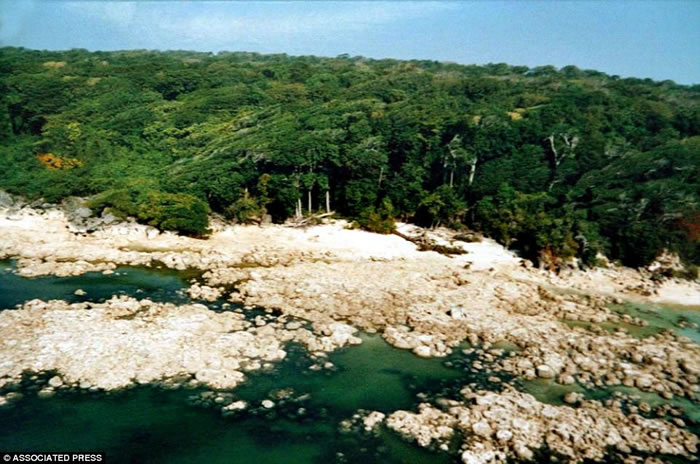 ���Ƭ��������ӡ����ɭ��ά����ԭʼ���䡰���˾�ɱ����ɭ���ɶ���