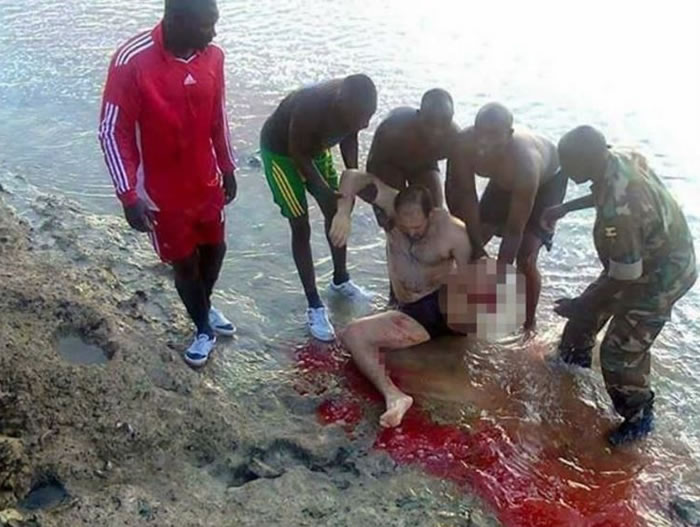 慎入:泳客在乌干达著名的维多利亚湖游泳时遭鳄鱼攻击左小腿被咬断