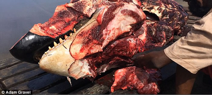 �����ڼ��ձȺ��;�ʱ�ο�����Ŀ������ɱ����ֻ����