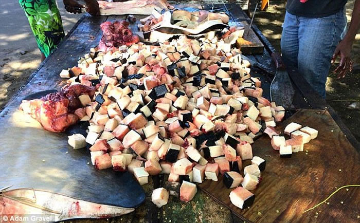 �����ڼ��ձȺ��;�ʱ�ο�����Ŀ������ɱ����ֻ����