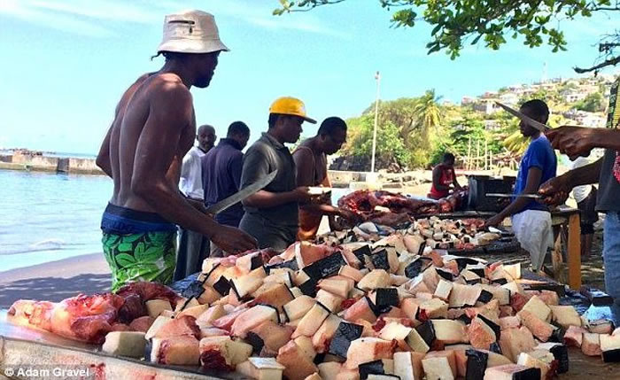 �����ڼ��ձȺ��;�ʱ�ο�����Ŀ������ɱ����ֻ����