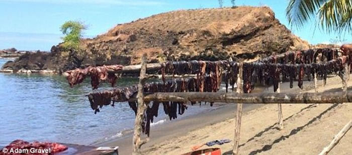 �����ڼ��ձȺ��;�ʱ�ο�����Ŀ������ɱ����ֻ����