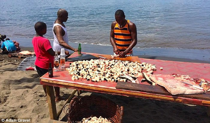 �����ڼ��ձȺ��;�ʱ�ο�����Ŀ������ɱ����ֻ����